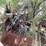 #1052-•-metal-pile-image-8