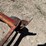 #1089-•-barrel-dolly-image-16