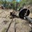 #1047-•-axles-and-heavy-duty-trailer-jack-image-10