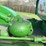 john-deere-gp-image-26