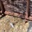 #1008-•-3-pt.-platform-image-5