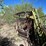 #1023-•-powder-river-cattle-chute-with-arch-frames-image-8