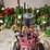international-harvester-3hp-image-9