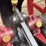 jacobson-engine-image-18