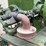 ihc-slant-hopper-mogul-jr.-1hp-image-11