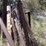#1057-•-(2)-racks-and-metal-image-4