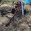 #1034-•-cement-mixer-on-trailer,-parts-only-image-7