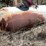 #1060-•-propane-tank-image-4