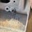 fairbanks-morse-pump-on-custom-cart-image-11
