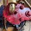 woodpecker-3-1/2-hp-engine-image-29