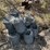 #1026-•-barb/barbless-rolls-of-wire-image-5
