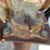 #1088-•-allied-multi-purpose-bench-vise-image-16