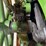 1913-root-and-vandervoort-1hp-image-12