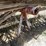 #1069-•-(3)-handmade-steel-saw-horses-image-6
