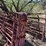 #1037-•-factory-manufactured-gates-image-1
