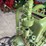 international-mogul-4hp-image-12