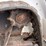 2018-bobcat-mt85-image-13