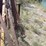 #1057-•-(2)-racks-and-metal-image-3