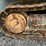 liebherr-lr634-image-12