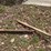 amazing-original-john-deere-wagon-image-33