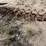 #1042-•-chain-drag-image-2