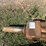 caterpillar-320-image-4