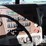 2015-western-star-4900-image-10