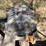 #1073-•-sutorbilt-positive-displacement-blower-image-2