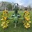 john-deere-a-image-4