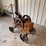 bates-bull-pup-2-1/2-hp-engine-image-7