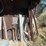 #1051-•-metal-of-various-shapes-and-sizes-image-12