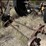 #1047-•-axles-and-heavy-duty-trailer-jack-image-4