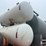 2015-kenworth-t800-image-22