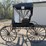 velie-carriage-image-6