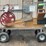 can-crusher-image-1