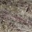 #1053-•-tubes-and-rebar-image-7
