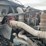 2017-international-prostar-image-20