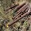 #1053-•-tubes-and-rebar-image-10