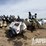 magnum-mlt4200-image-3