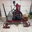 international-harvester-famous-2hp-image-2