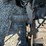 new-holland-3930-image-20