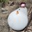 #1060-•-propane-tank-image-1