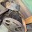 ottawa-drag-saw-parts-image-6
