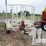 1998-massey-ferguson-8-image-3