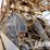 (18-1)-skytop-4610-d/d-well-service-rig,-p/b-detro...-image-5
