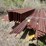 #1066-•-(2)-bundles-of-rebar-image-5
