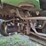 2016-john-deere-7700a-image-24