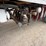 2000-great-dane-pup-image-9