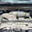 2009-ford-cargo-image-7