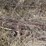 #1053-•-tubes-and-rebar-image-6